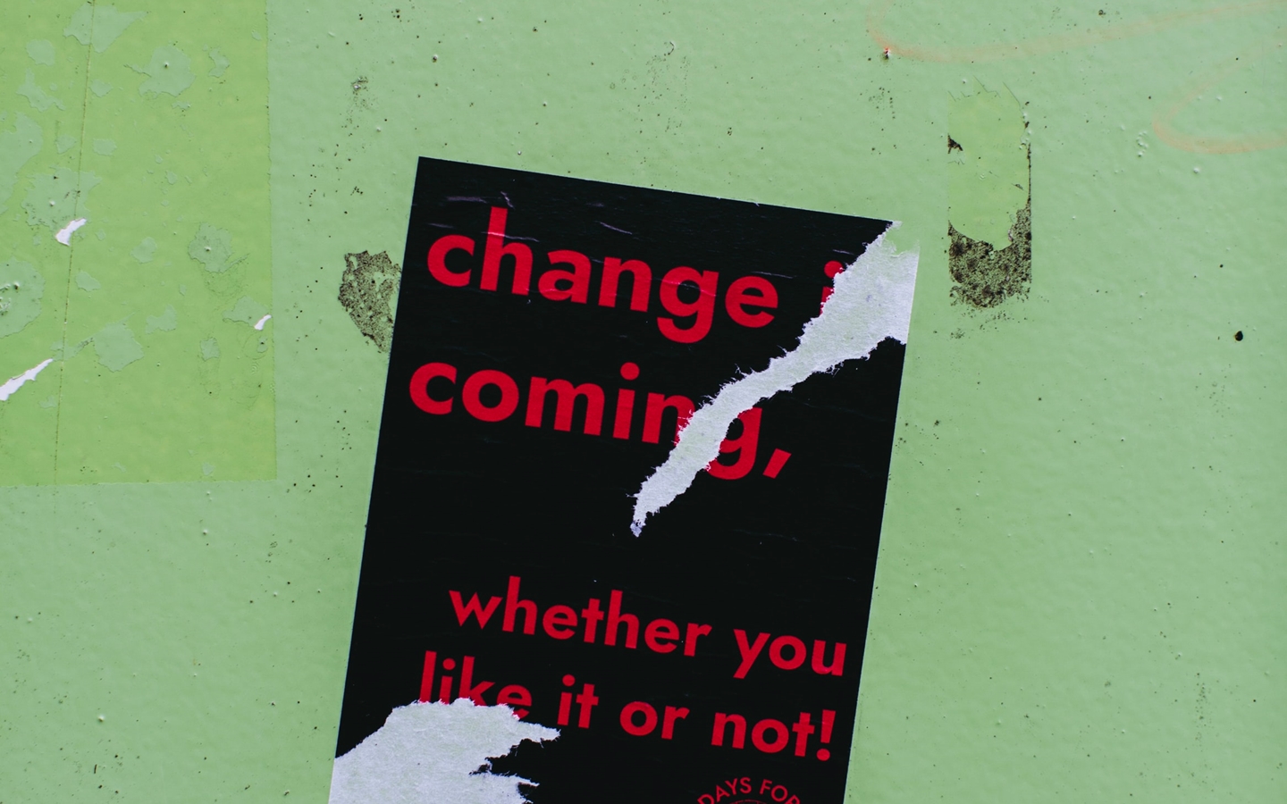 Five tasks to prime your business for what comes next