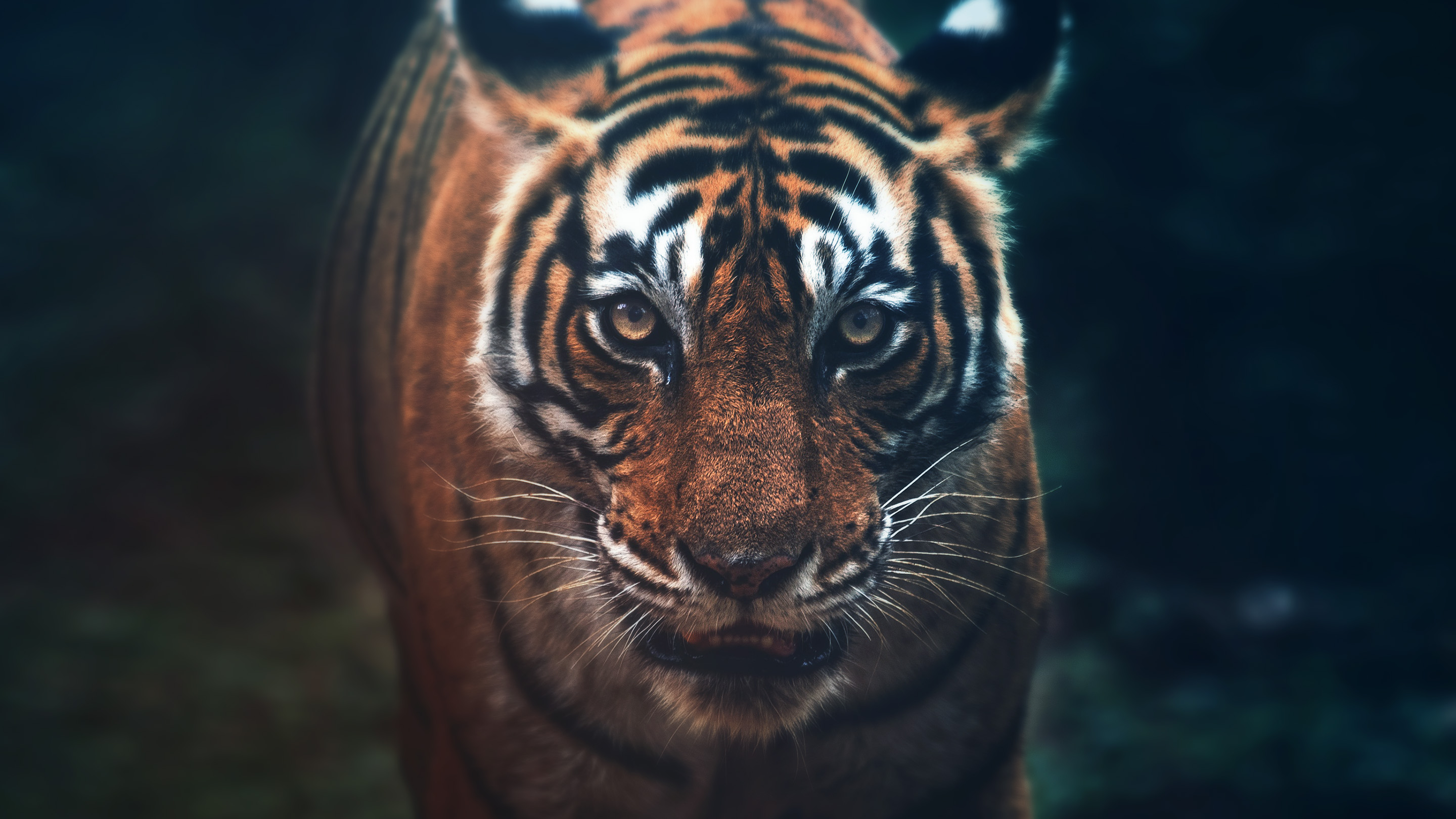 Columbia Threadneedle Investments 