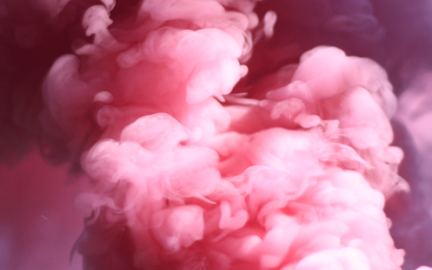 The Most Dis-Connected brands 2018