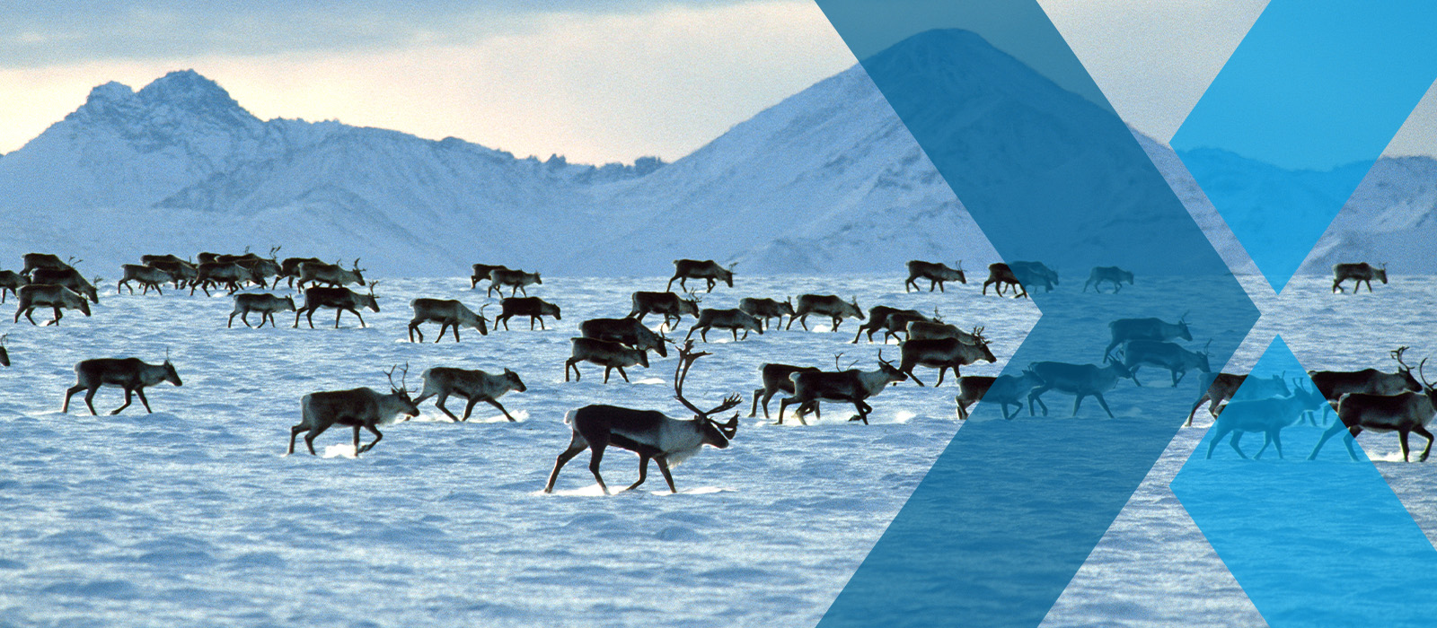 IMPAX Asset Management  - 