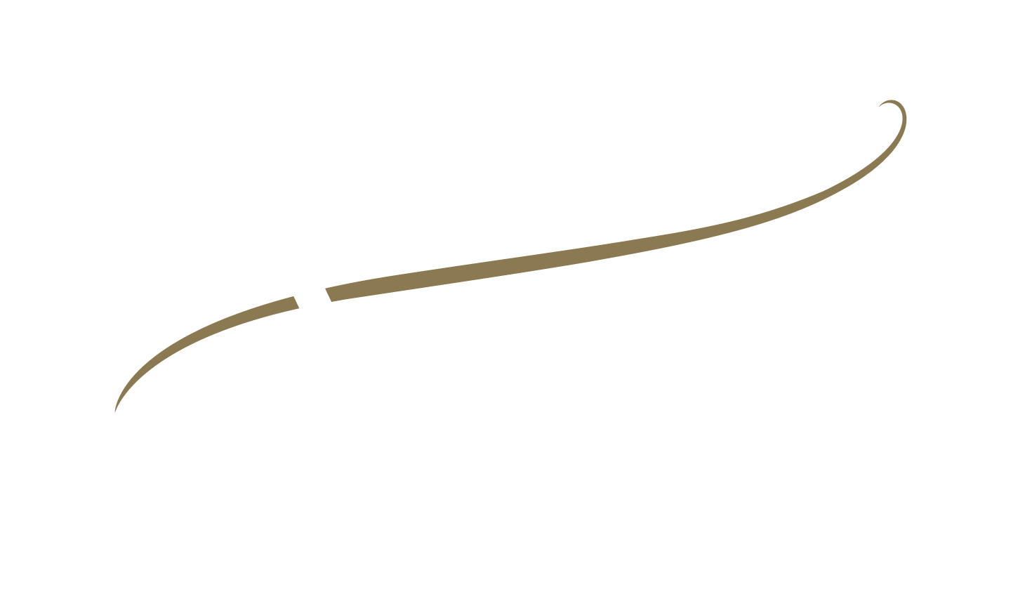 Amati Logoblock Reverse